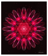 First Chakra
