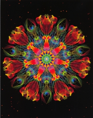 William Landau's Symbala